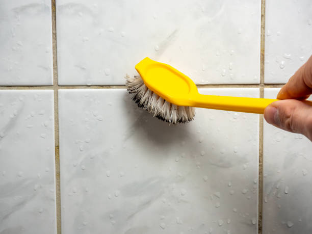  Ballwin, MO Mold Removal Pros
