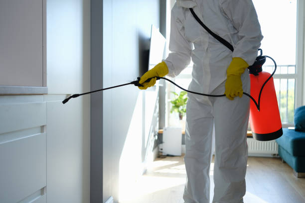 Attic Mold Removal in Ballwin, MO