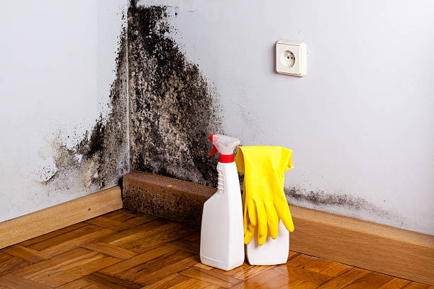 Best Crawl Space Mold Removal  in Ballwin, MO