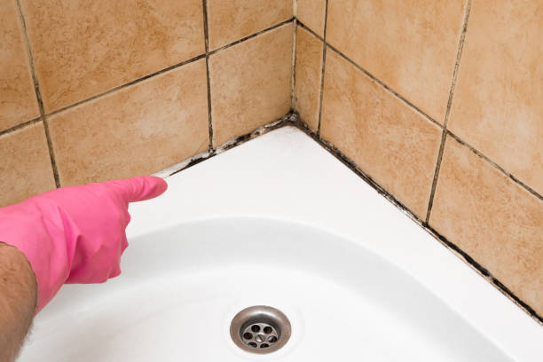 Best Residential Mold Removal  in Ballwin, MO